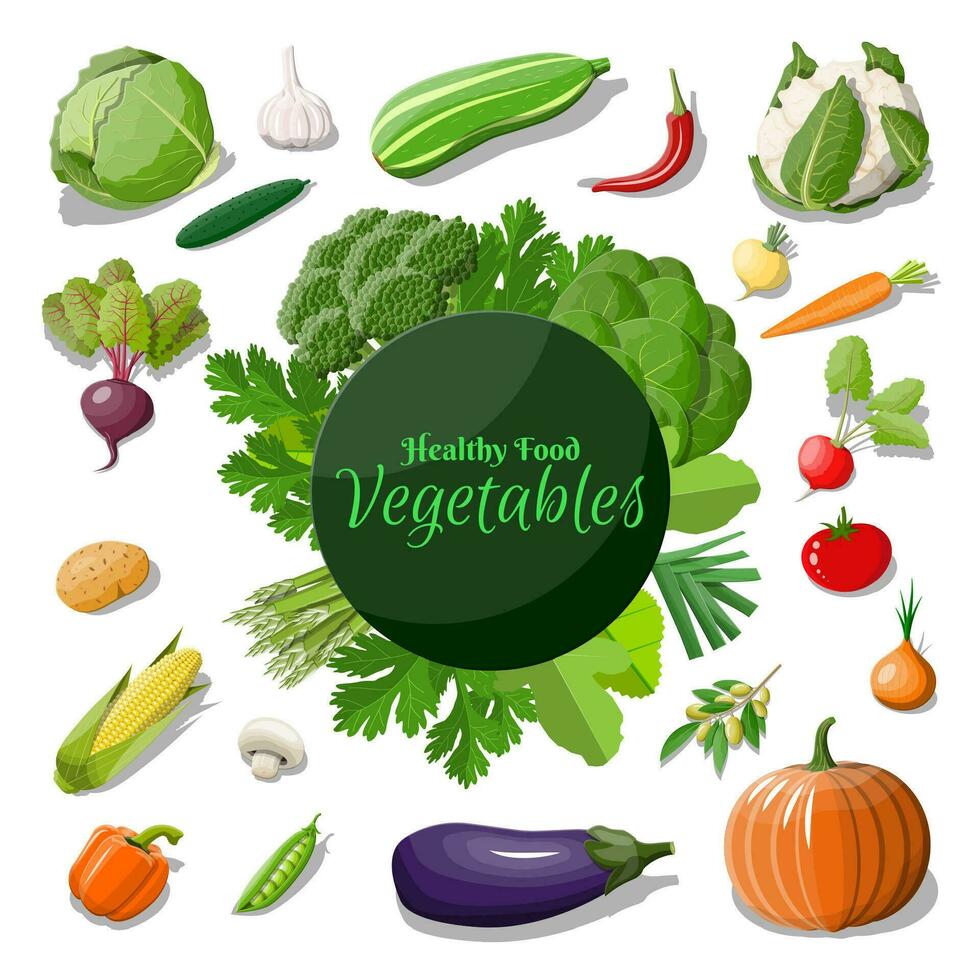 Big vegetable icon set. Onion, eggplant, cabbage, pepper, pumpkin, cucumber, tomato carrot and other vegetables. Organic healthy food. Vegetarian nutrition. Vector illustration in flat style