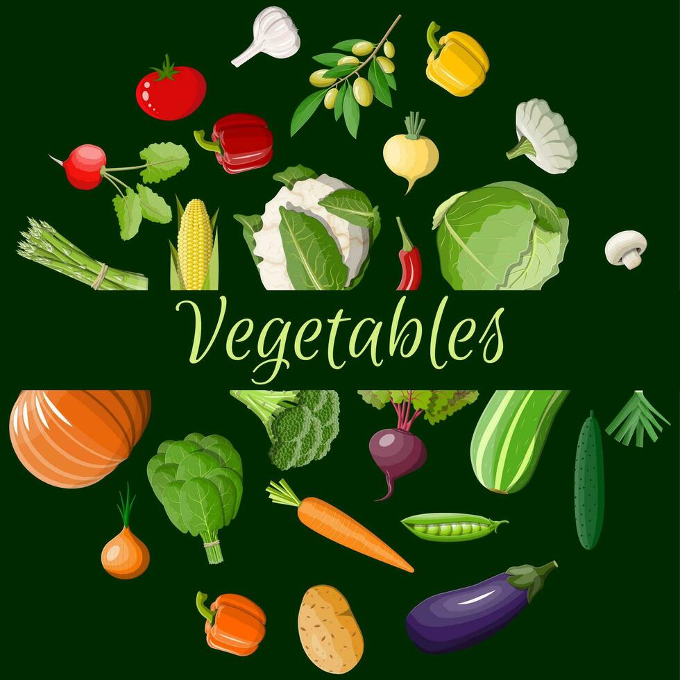 grande vegetal icono colocar. cebolla, berenjena, repollo, pimienta, calabaza, pepino, tomate Zanahoria y otro vegetales. orgánico sano alimento. vegetariano nutrición. vector ilustración en plano estilo