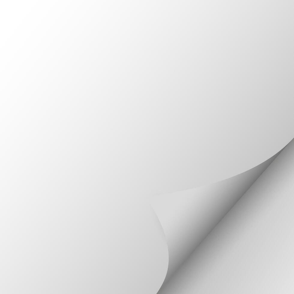 White sheet of paper. Realistic background. Vector illustration