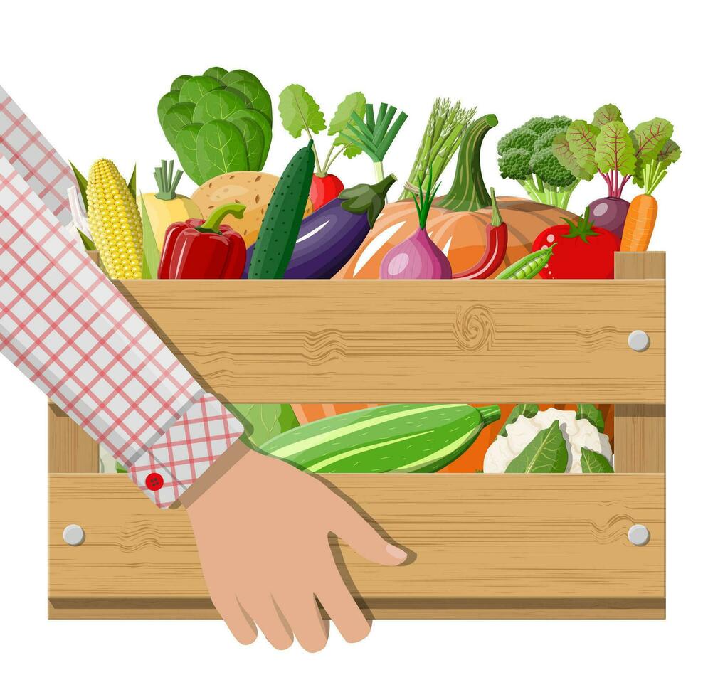 Wooden box full of vegetables in hand. Onion, eggplant, cabbage, pepper, pumpkin, cucumber, tomato carrot other vegetables. Organic healthy food. Vegetarian nutrition. Vector illustration flat style