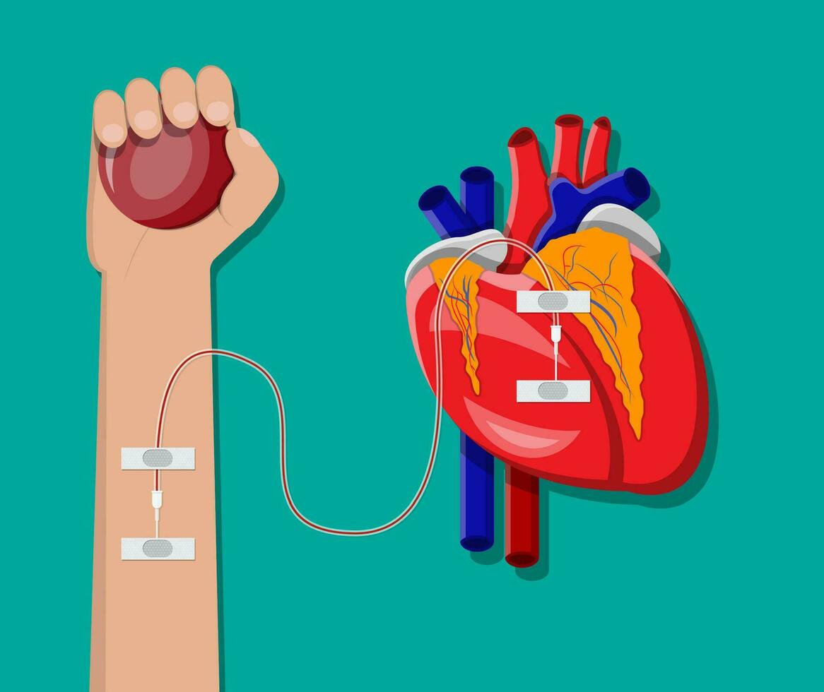 Hand of donor with heart. Blood donation day concept. Human donates blood. Vector illustration in flat style.