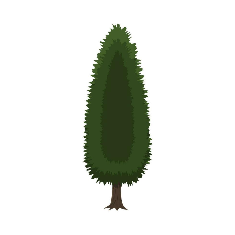 ciprés árbol aislado en blanco. vector ilustración en plano estilo