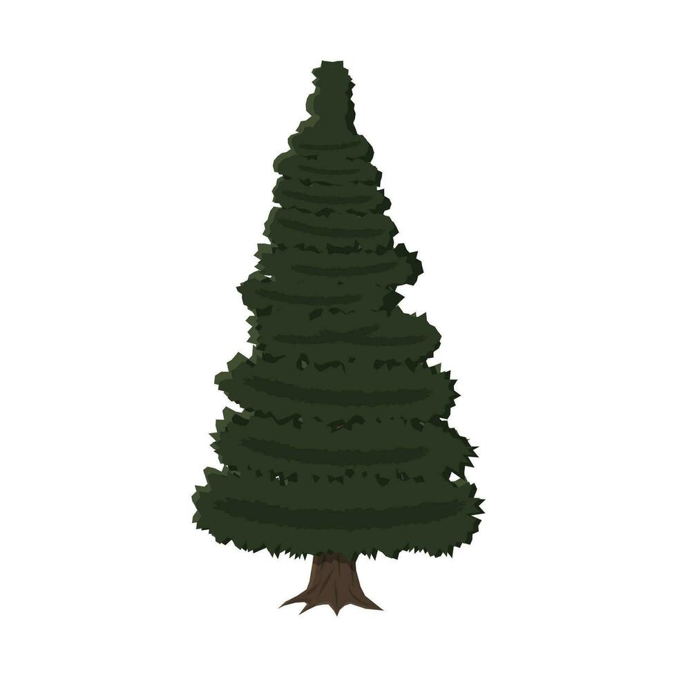 spruce, evergreen tree, vector illustration in flat style