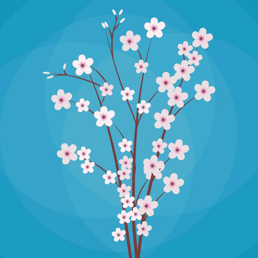 Sakura japan cherry branch with blooming flowers isolated on blue background. vector illustration in flat design