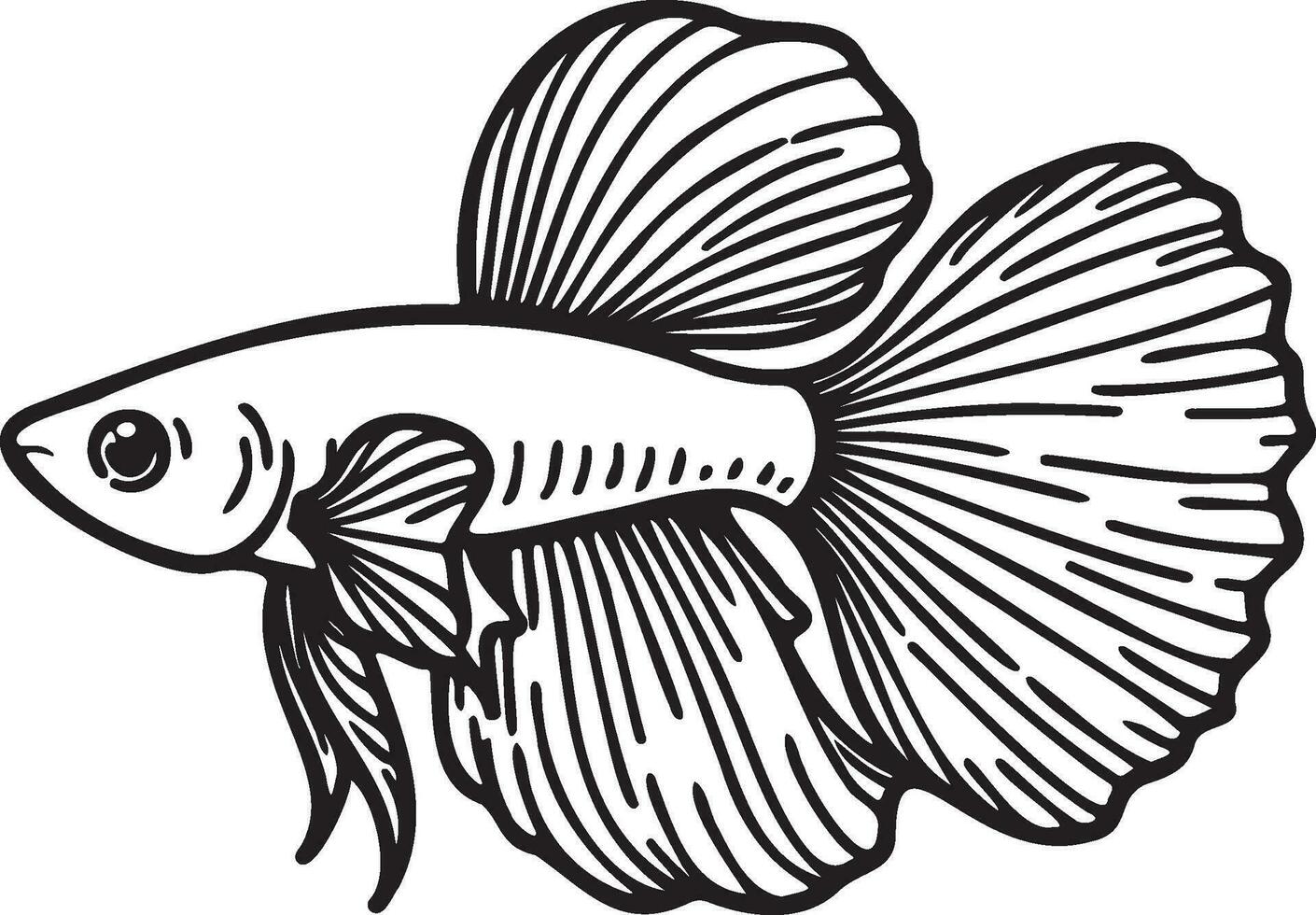 Guppy Fish Sketch Drawing. vector
