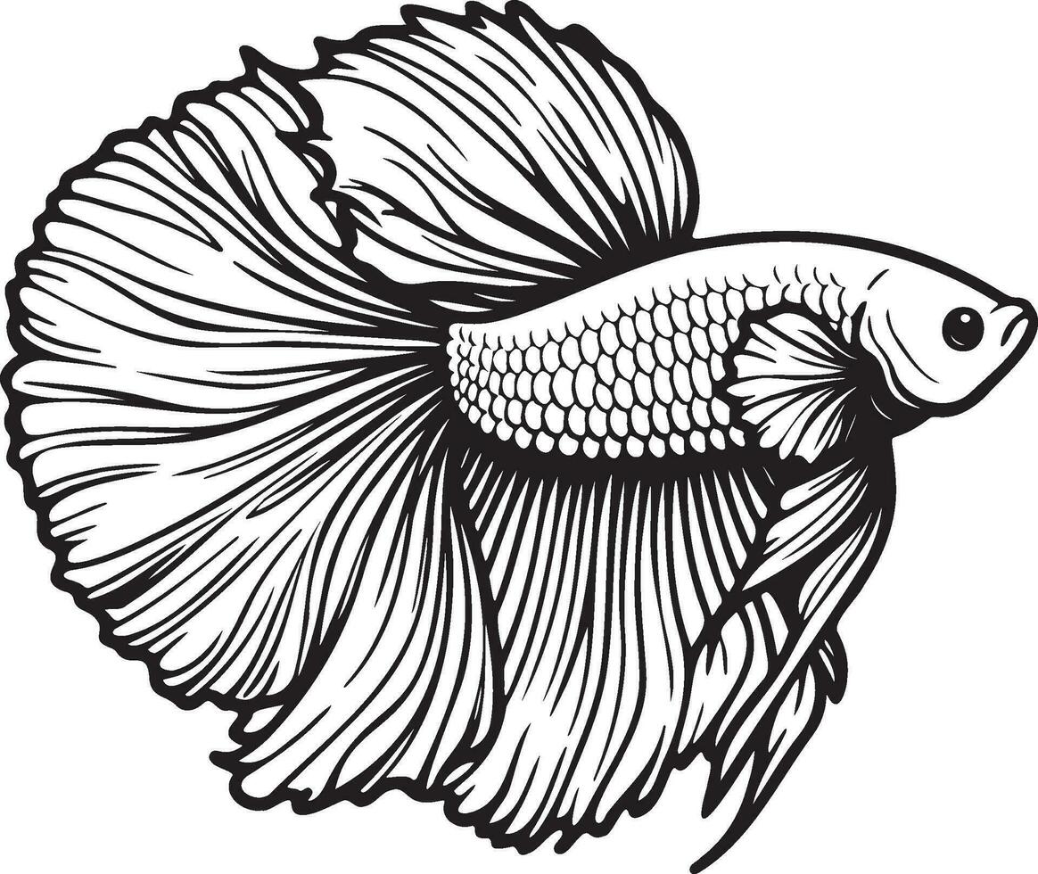 Betta Splendens Fish Sketch Drawing. vector