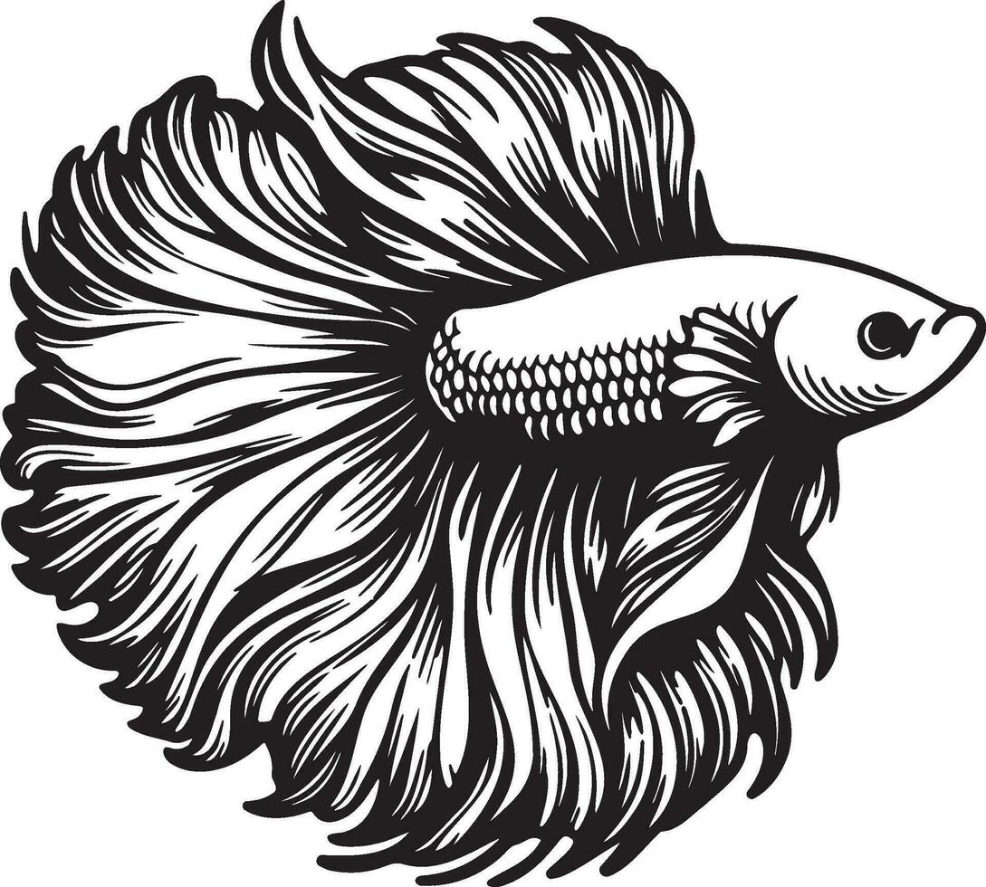 Betta Splendens Fish Sketch Drawing. vector