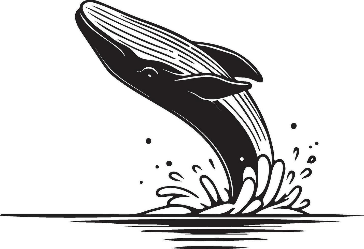 Whale Leaping Illustration. vector