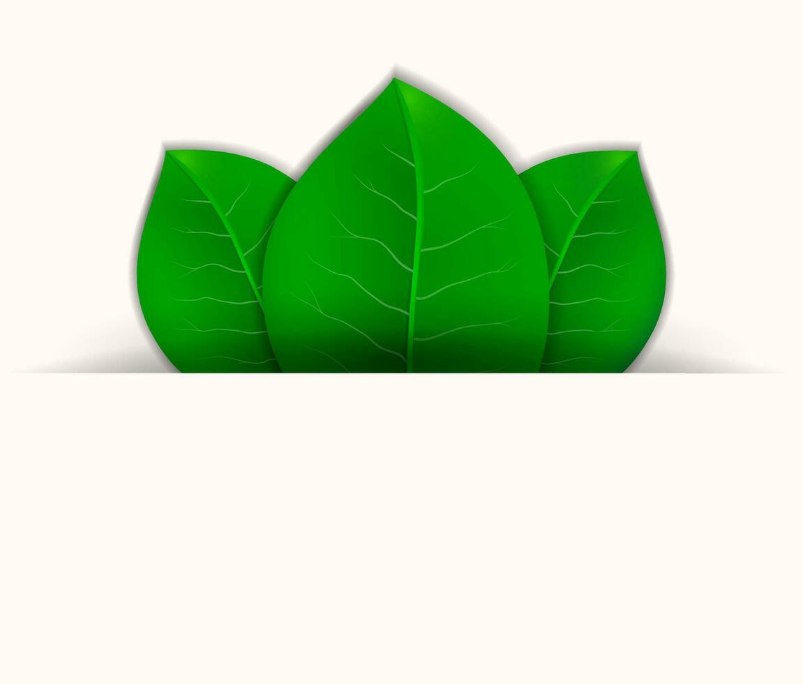 Green leaves card. leaves in the pocket with place for your text on white background. vector illustration, template