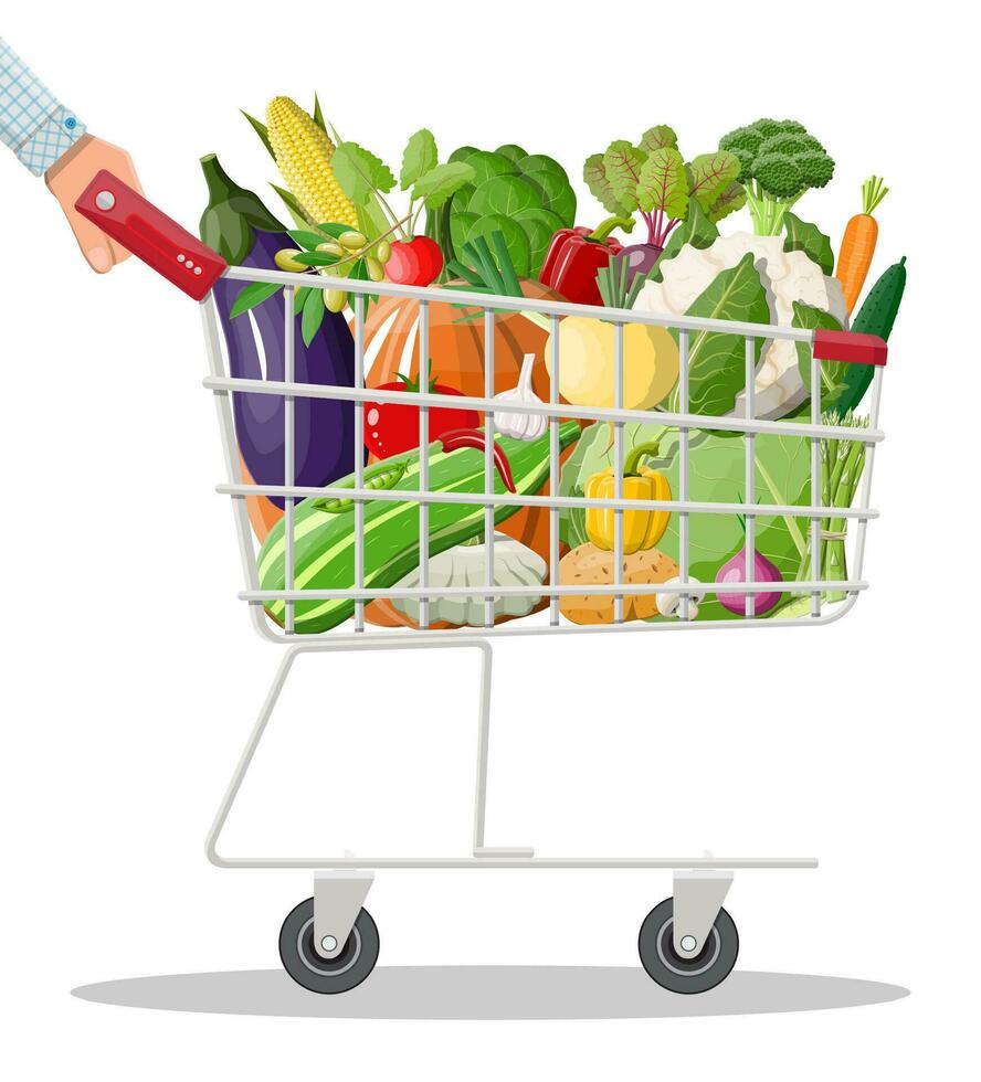 Metal shopping cart full of vegetables in hand. Farming fresh food, organic agriculture products. Onion, cabbage, pepper, pumpkin, cucumber, tomato and other vegetables. Vector illustration flat style