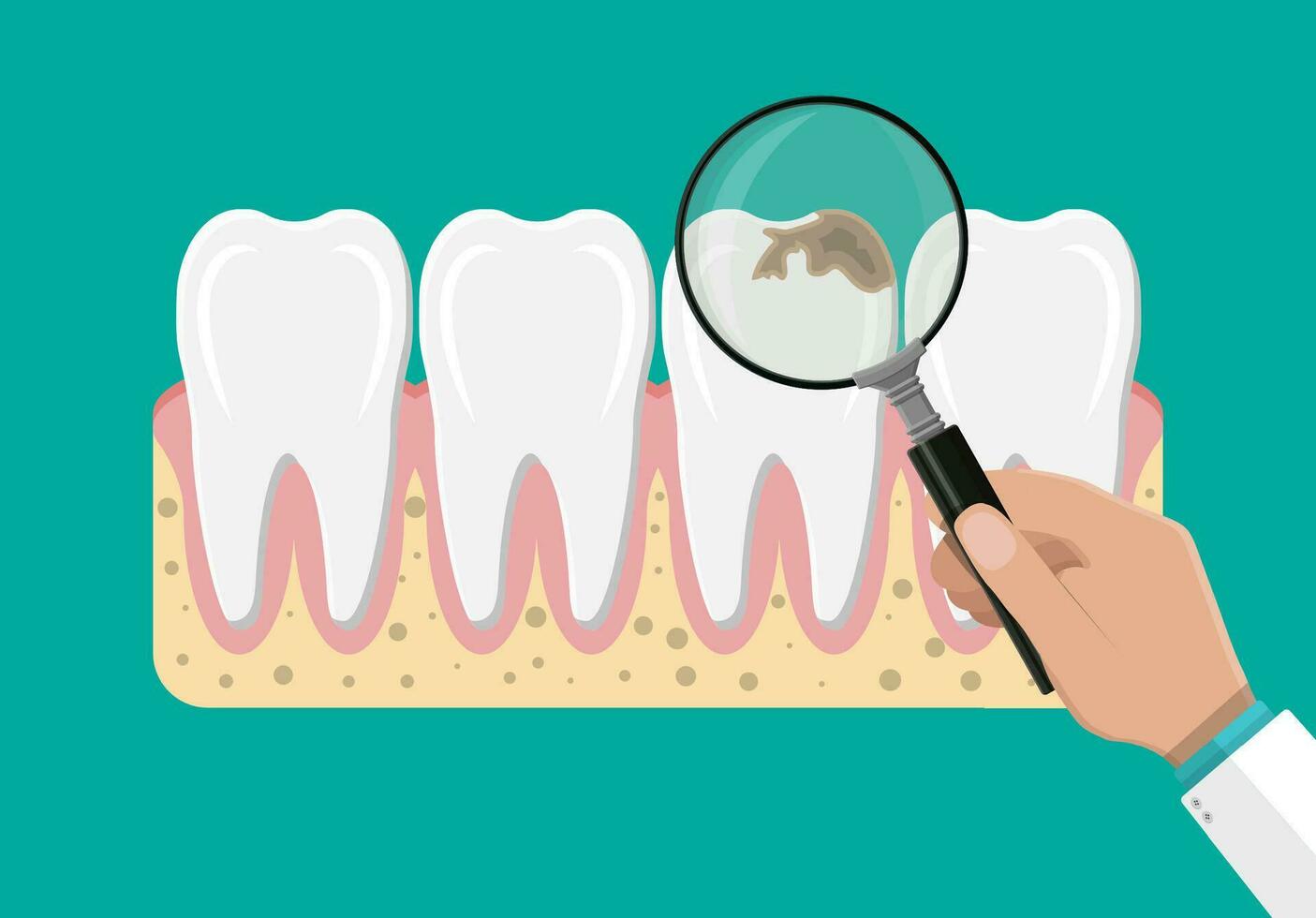 dentista con aumentador vaso examina dientes. dientes icono con chicle. humano dientes en plano estilo. dental concepto. higiene y cuidado bucal. vector ilustración