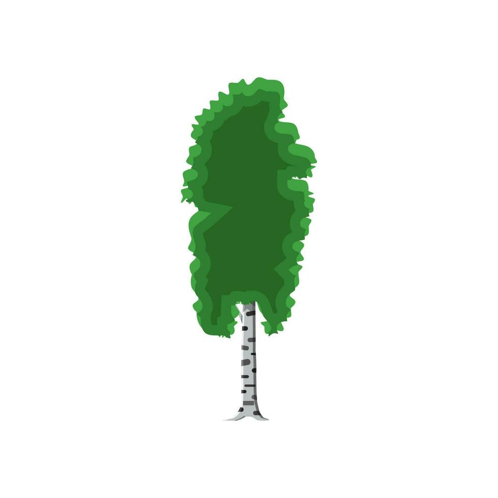 birch tree isolated on white. vector illustration in flat style