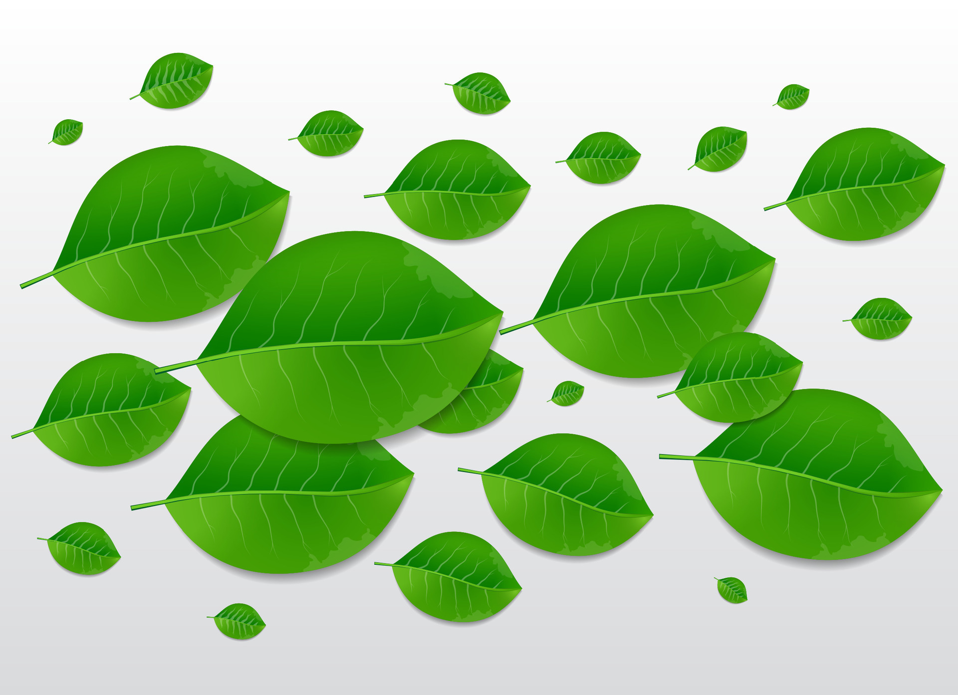 Nature Green Leaves Vector Abstract Background Illustration 35635792 Vector Art At Vecteezy Nature Green Leaves Vector Abstract Background Illustration 35635792 Vector Art At Vecteezy