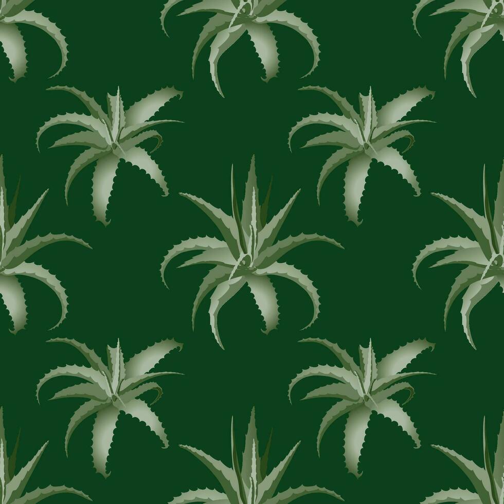 Seamless pattern of green leaves of aloe vera plant. Vector. vector