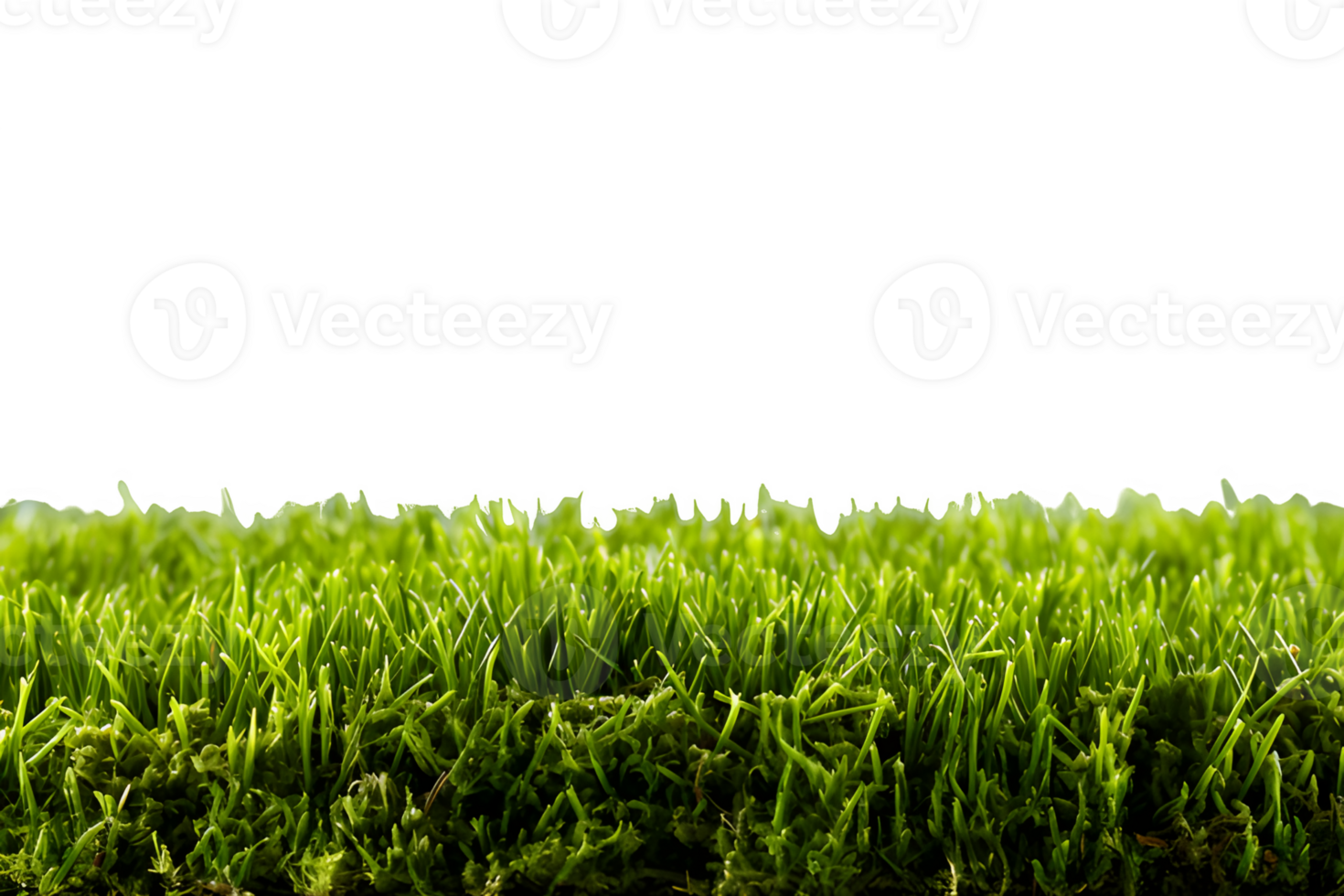 AI generated football field grass isolated on transparent background ,generative ai png