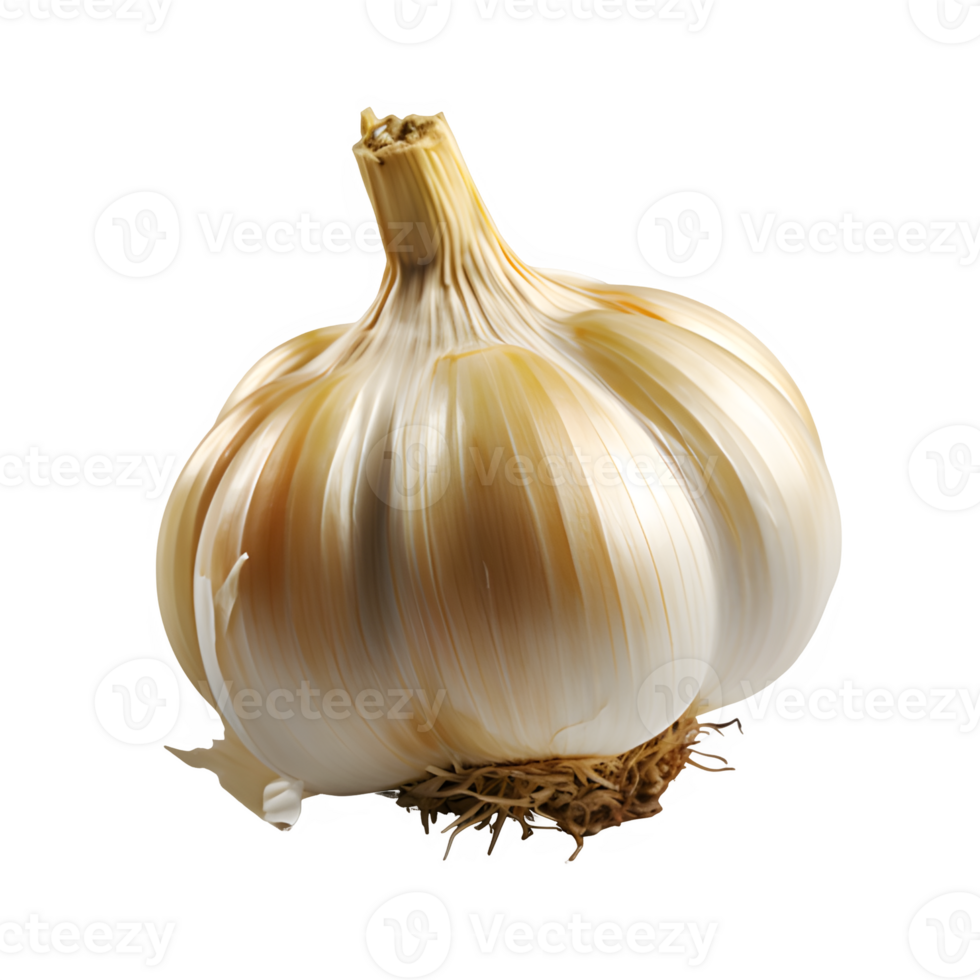 AI generated garlic isolated on transparent background ,seasoning garlic png ,generative ai