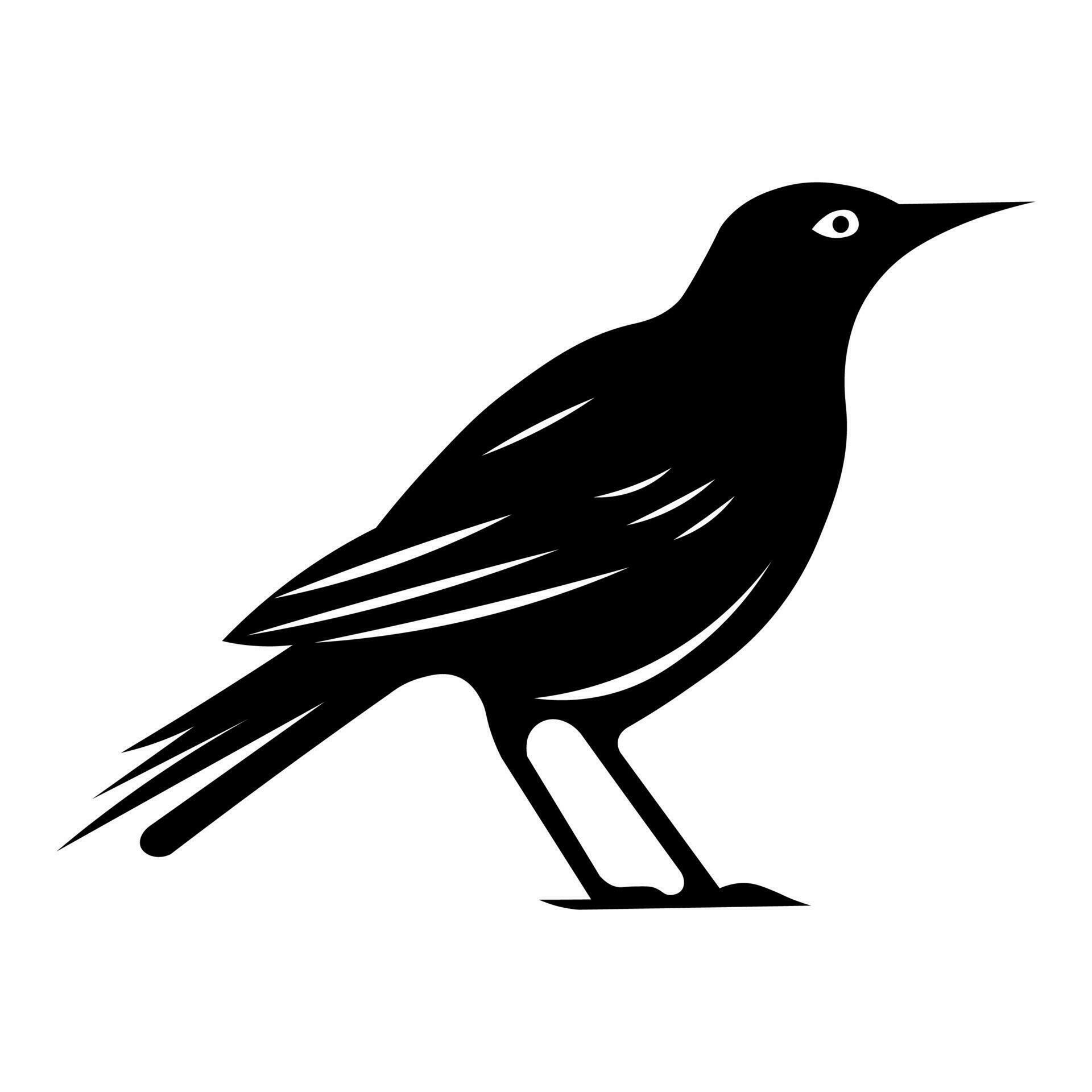 Bird vector black icon isolated on white background 35637180 Vector Art