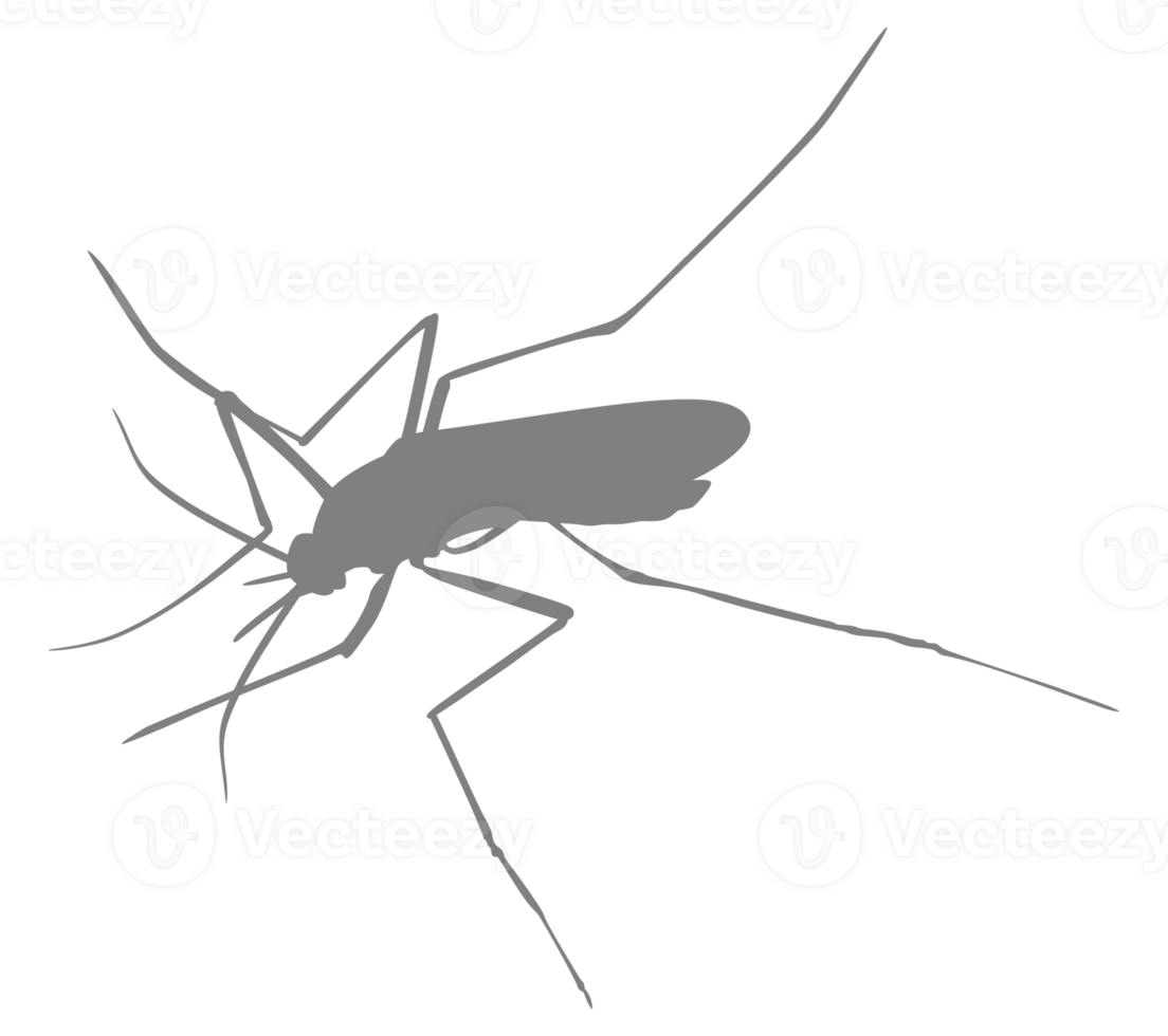 Mosquito Silhouette, can use for Art Illustration Pictogram, Website, and Graphic Design Element. Format PNG