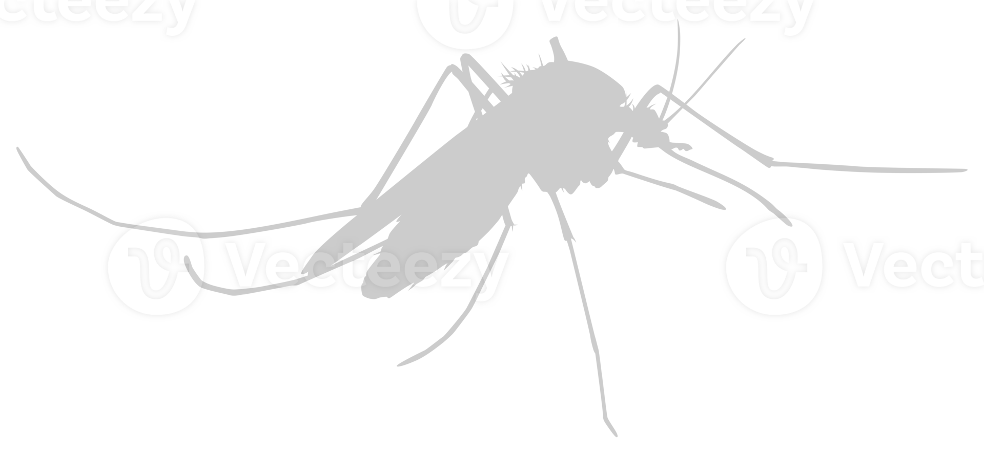 Mosquito Silhouette, can use for Art Illustration Pictogram, Website, and Graphic Design Element. Format PNG