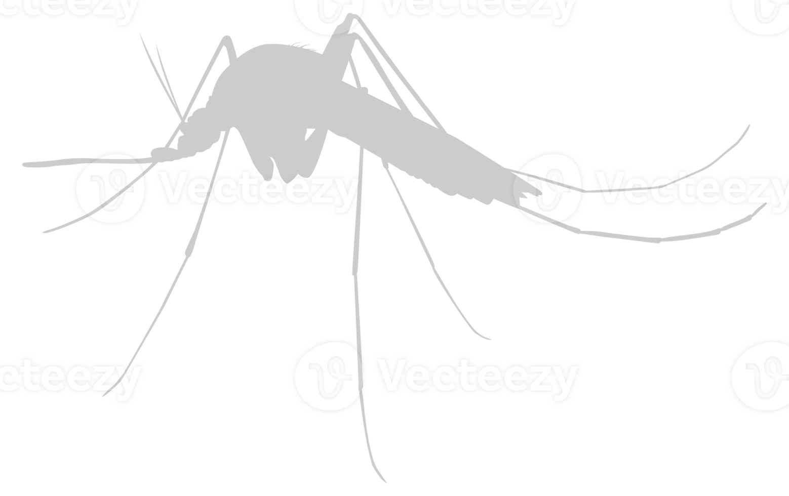 Mosquito Silhouette, can use for Art Illustration Pictogram, Website, and Graphic Design Element. Format PNG