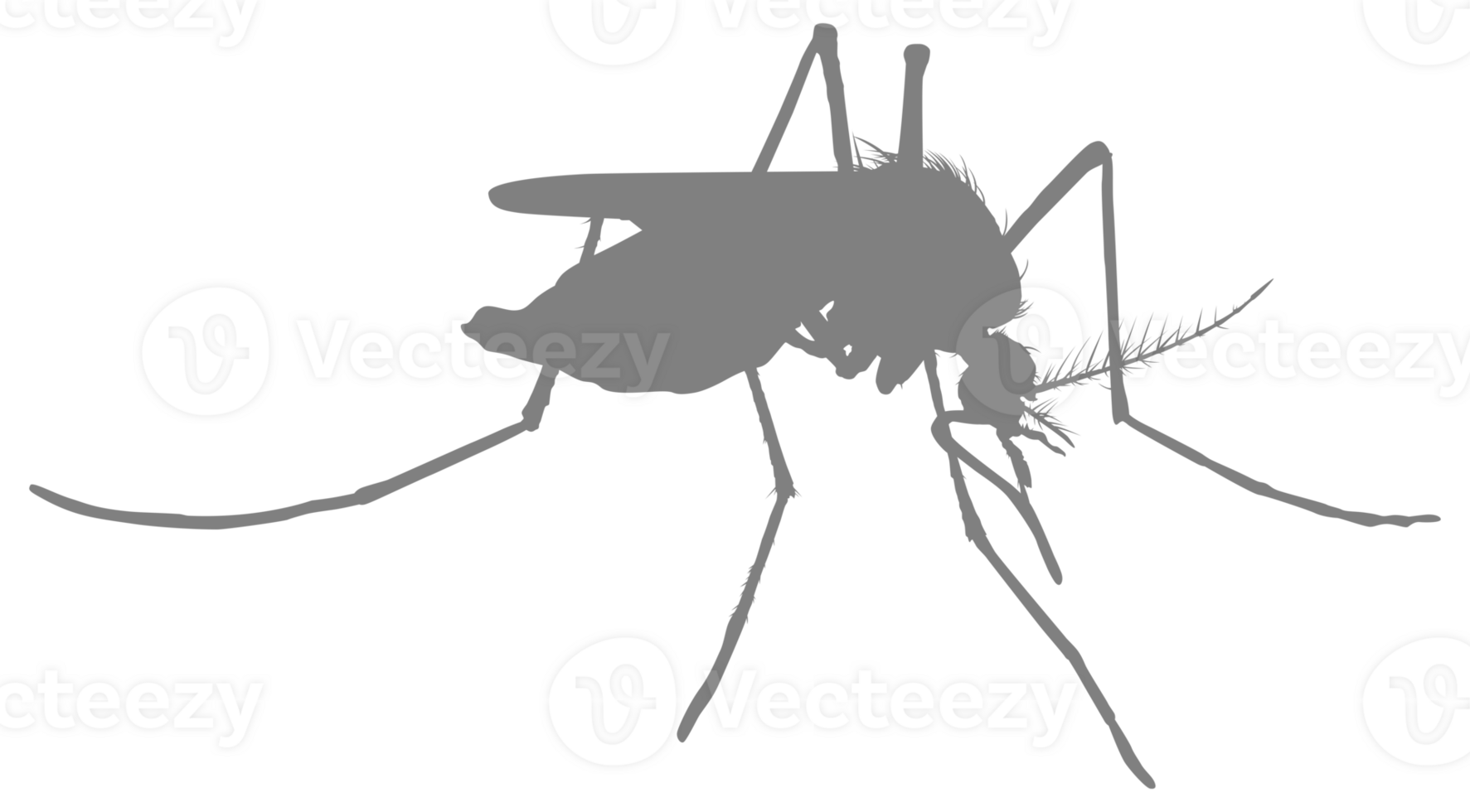 Mosquito Silhouette, can use for Art Illustration Pictogram, Website, and Graphic Design Element. Format PNG