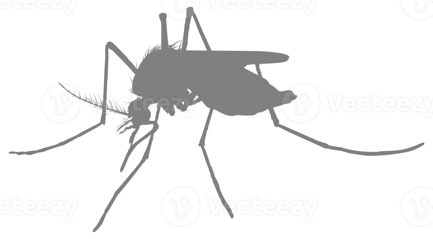 Mosquito Silhouette, can use for Art Illustration Pictogram, Website, and Graphic Design Element. Format PNG