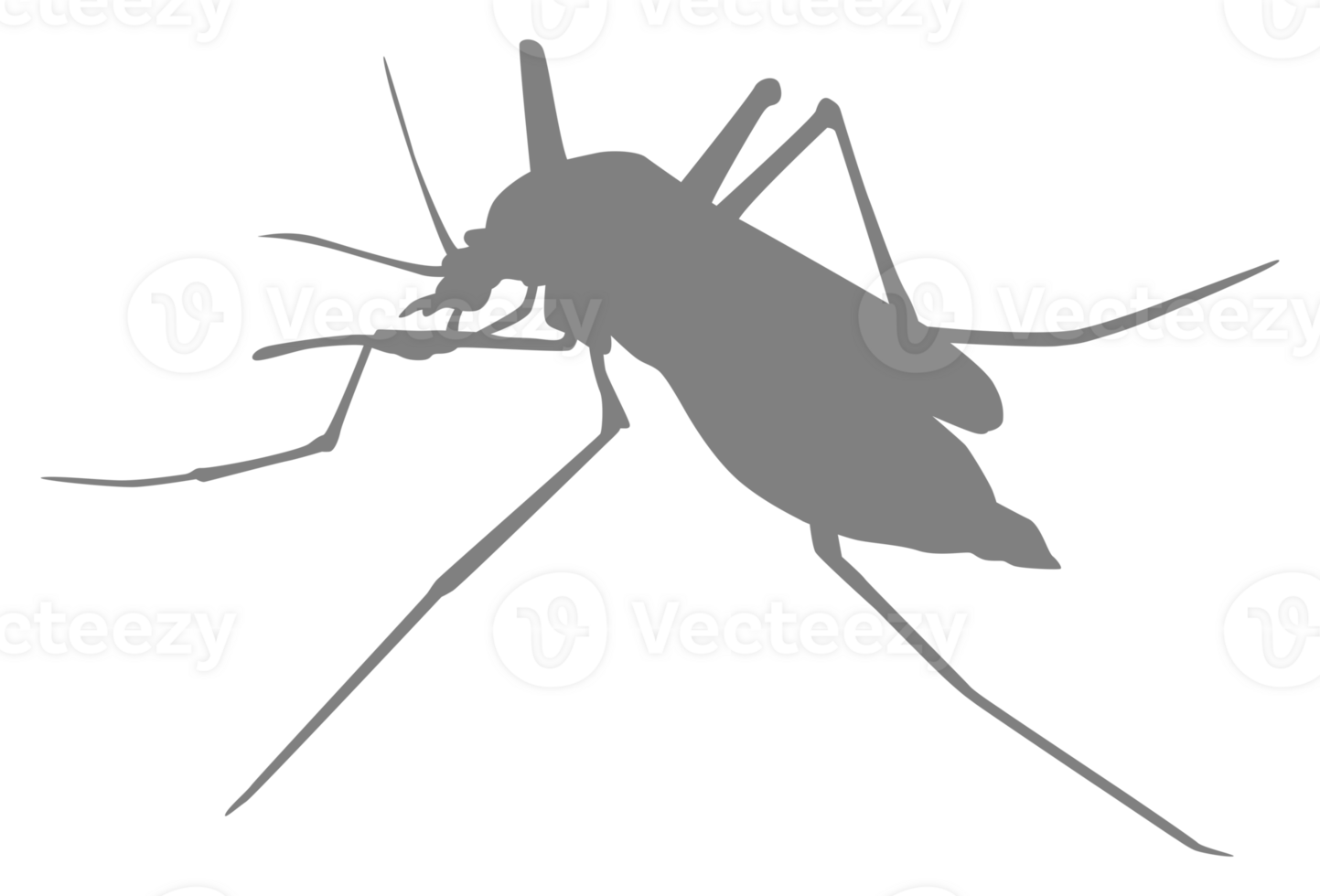 Mosquito Silhouette, can use for Art Illustration Pictogram, Website, and Graphic Design Element. Format PNG