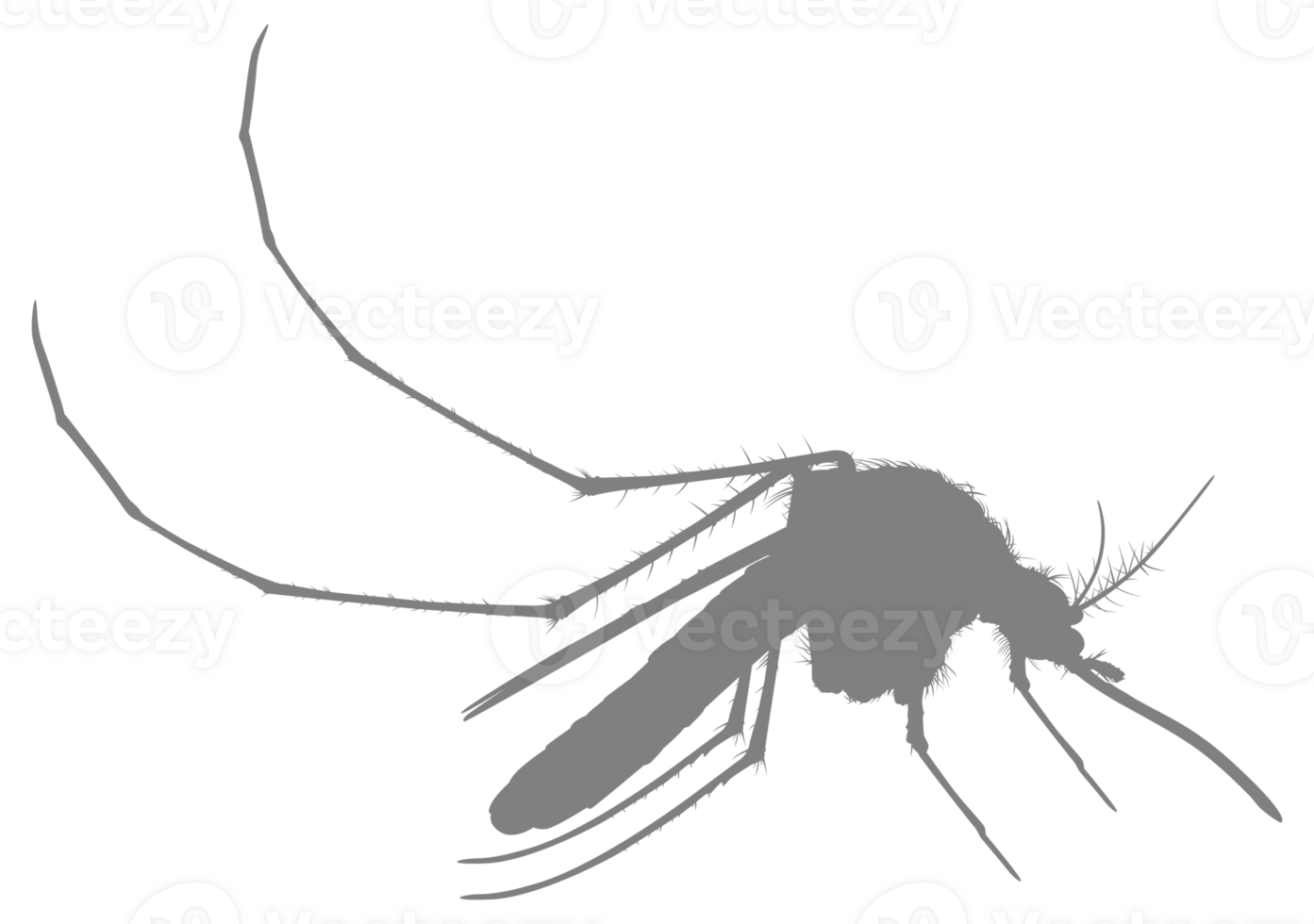 Mosquito Silhouette, can use for Art Illustration Pictogram, Website, and Graphic Design Element. Format PNG