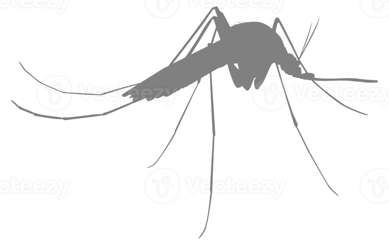 Mosquito Silhouette, can use for Art Illustration Pictogram, Website, and Graphic Design Element. Format PNG