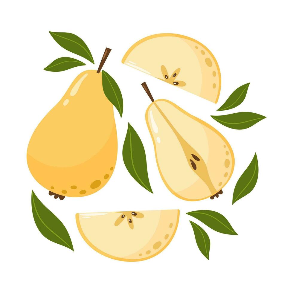 Whole and slices pears with leaves. Set of sweet fruit. Summer vitamin vector abstract illustration for banner, poster, flyer, greeting card. Cartoon flat style.
