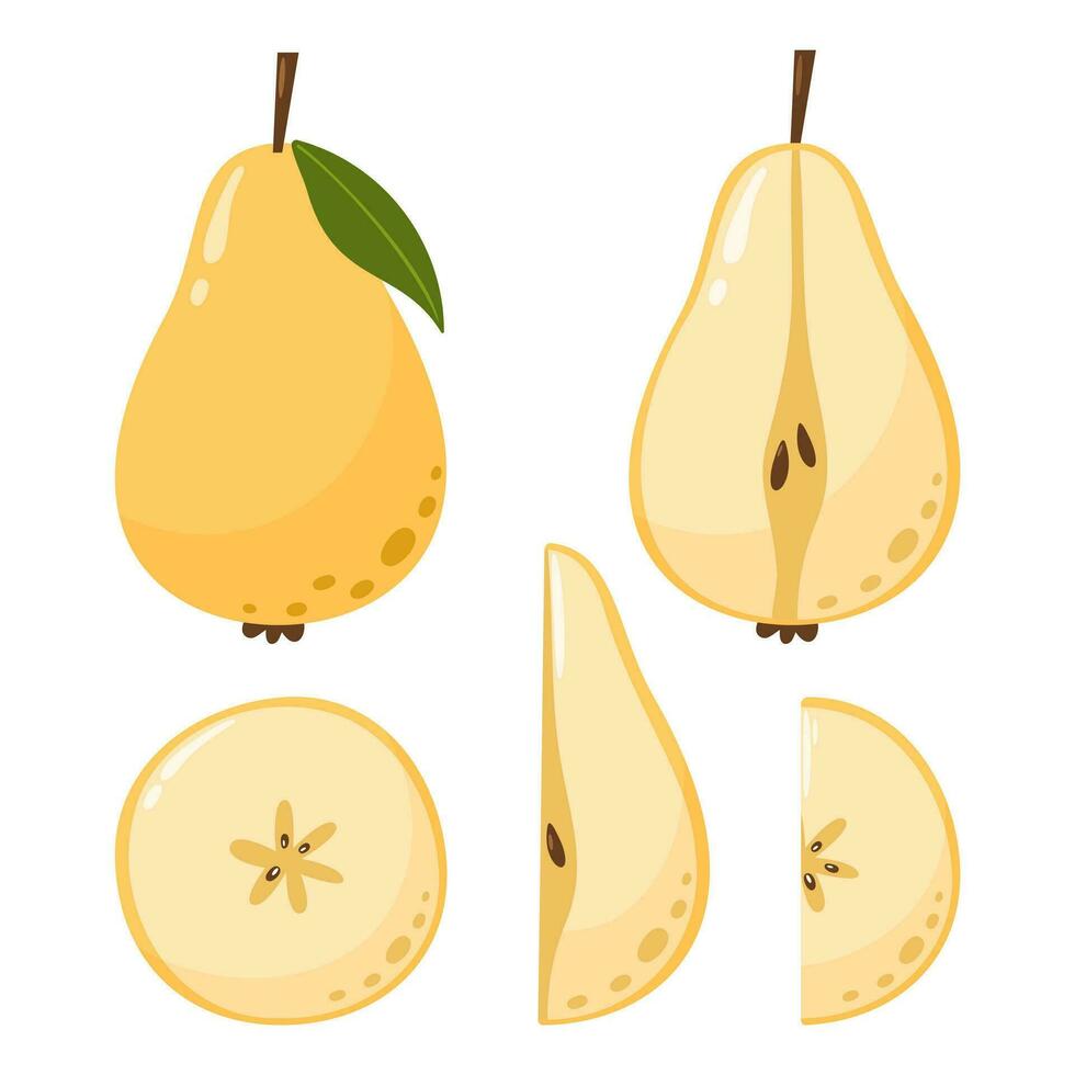 Pear collection in flat hand drawn style, vector illustration set. Slices and whole fruits, graphic design elements.