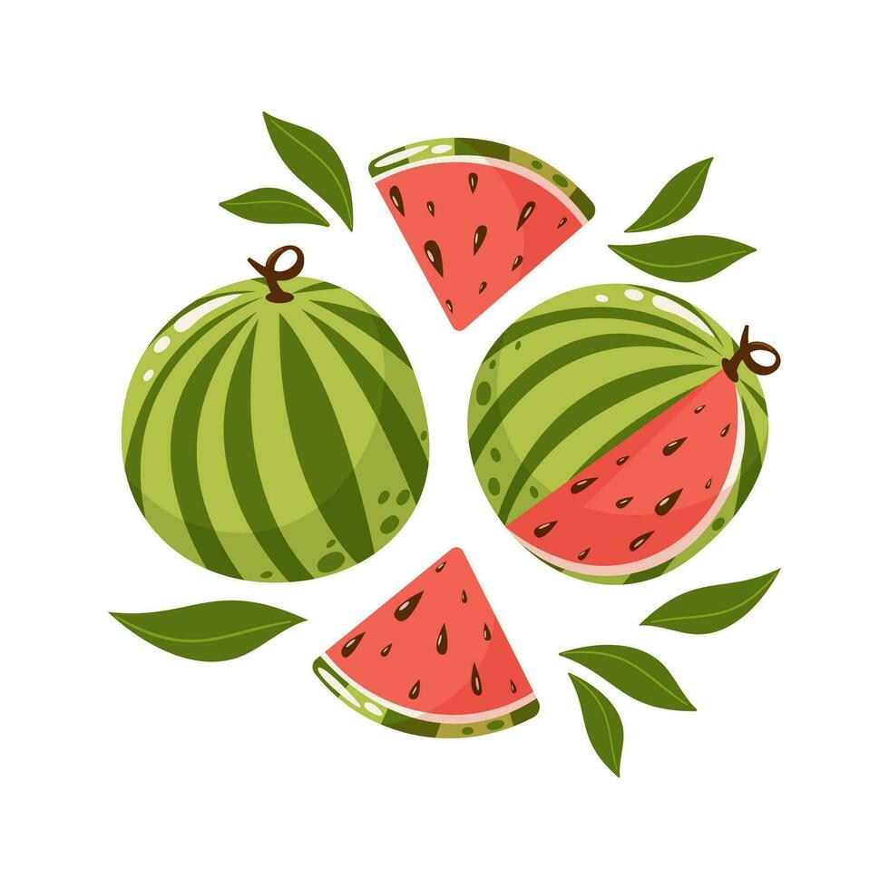 Watermelon composition, whole and slices with leaves. Set of sweet fruit. Summer vitamin vector abstract illustration for banner, poster, flyer, greeting card. Cartoon flat style.