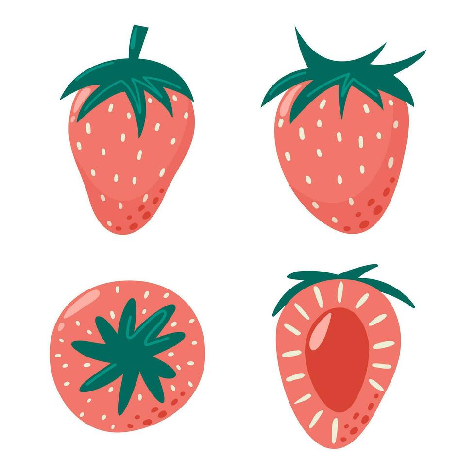 fresa colección en plano mano dibujado estilo, vector ilustración colocar. rebanadas y todo baya, gráfico diseño elementos. dibujos animados vitamina verano cosecha.