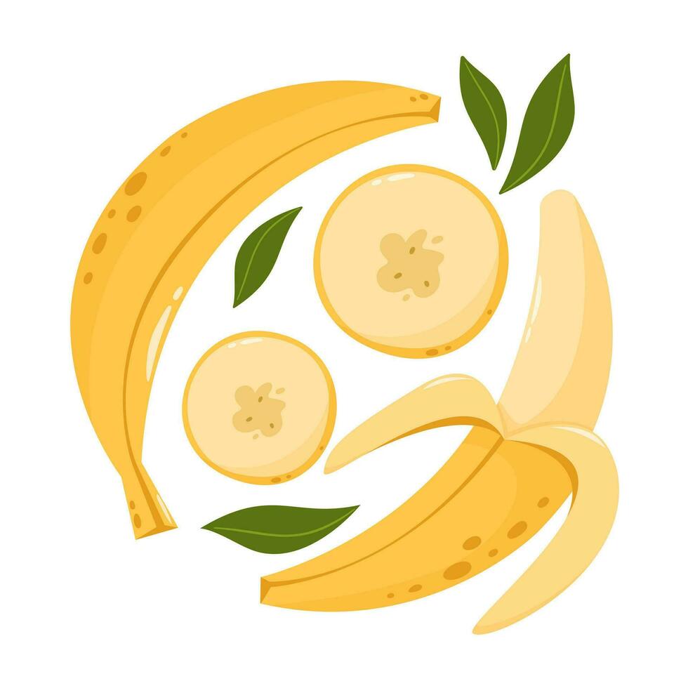 Whole and slices bananas with leaves. Set of sweet fruit. Summer vitamin vector abstract illustration for banner, poster, flyer, greeting card. Cartoon flat style.