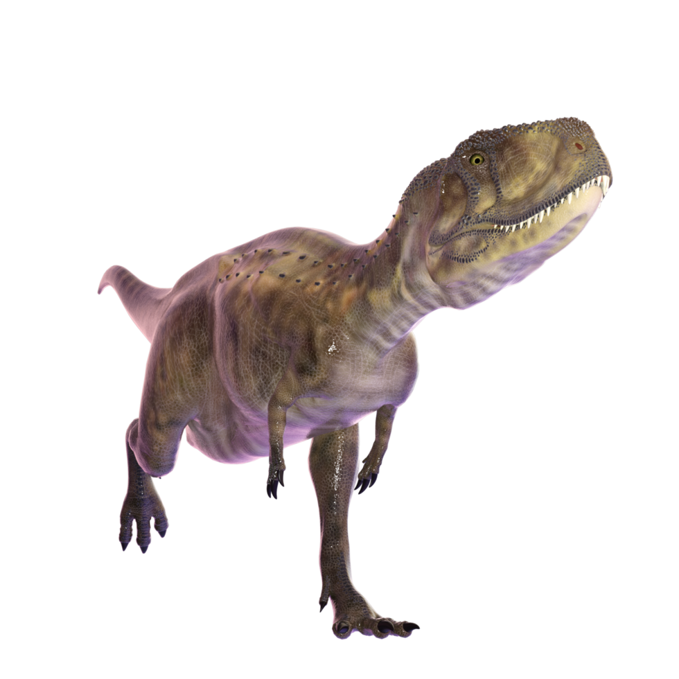 dinosaure isolé png