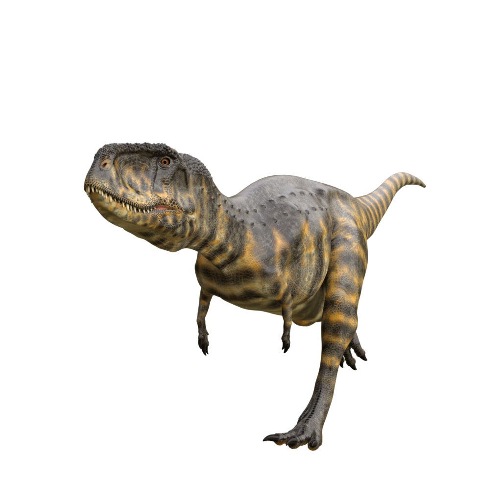 Dinosaur isolated png