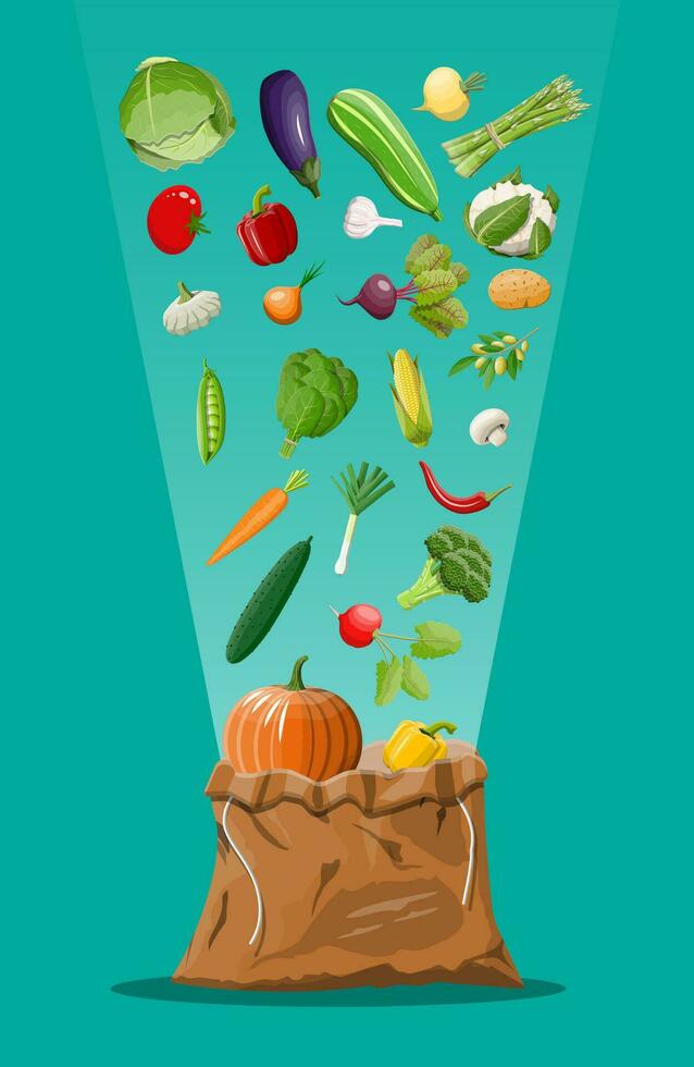 Canvas bag full of vegetables. Farming fresh food, organic agriculture products. Autumn harvest. Onion, cabbage, pepper, pumpkin, cucumber, tomato and other vegetables. Vector illustration flat style