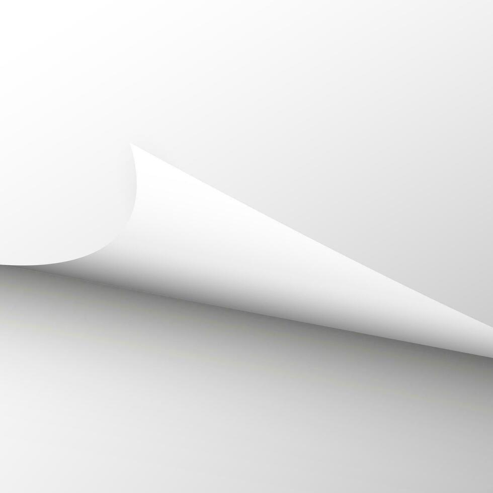 White sheet of paper. Realistic background. Vector illustration