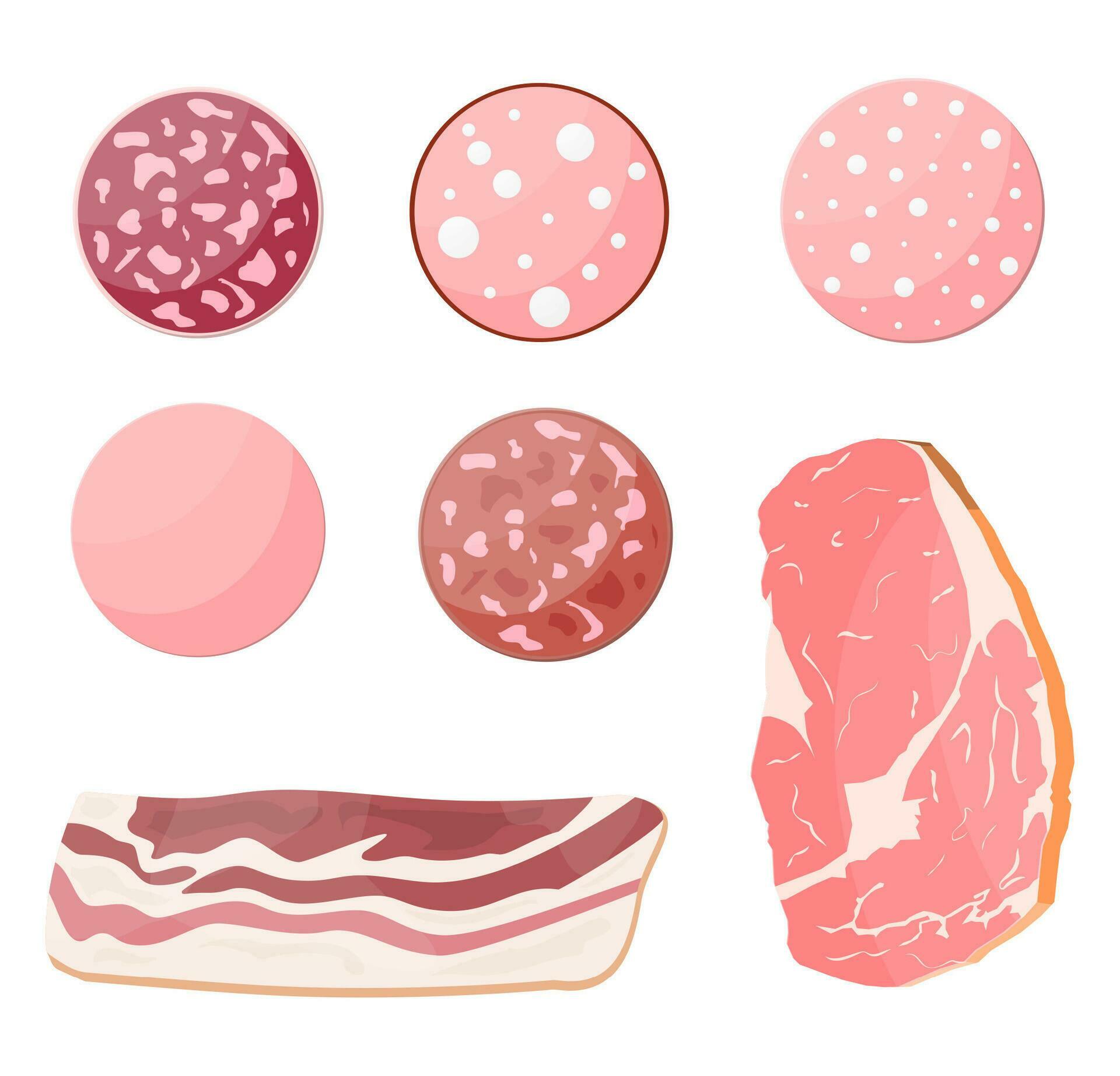 Meat sausage slice set. 35638318 Vector Art at Vecteezy