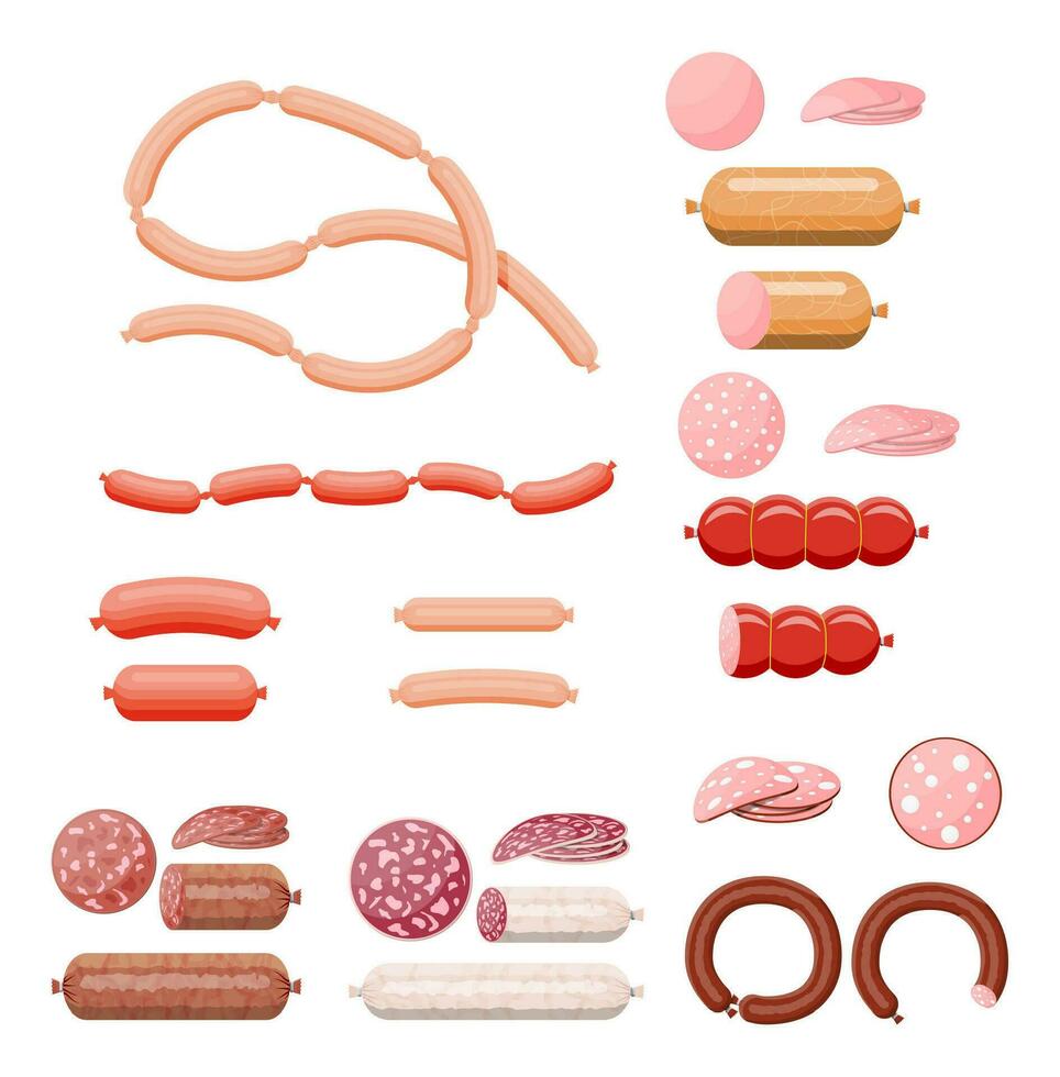 Meat sausage collection. vector