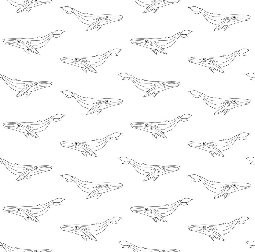 Vector seamless pattern of outline blue whale