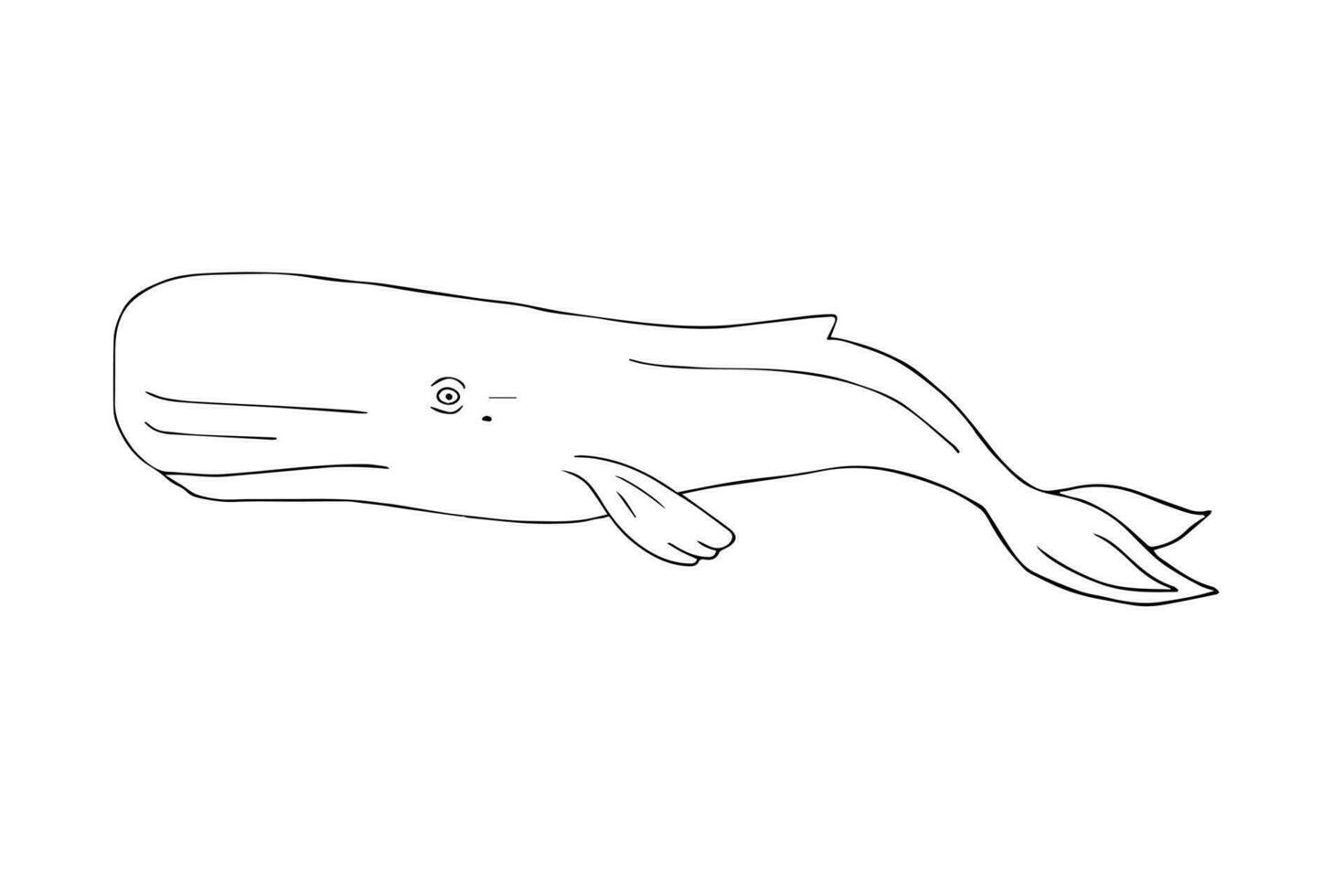 Vector hand drawn sketch cachalot sperm whale