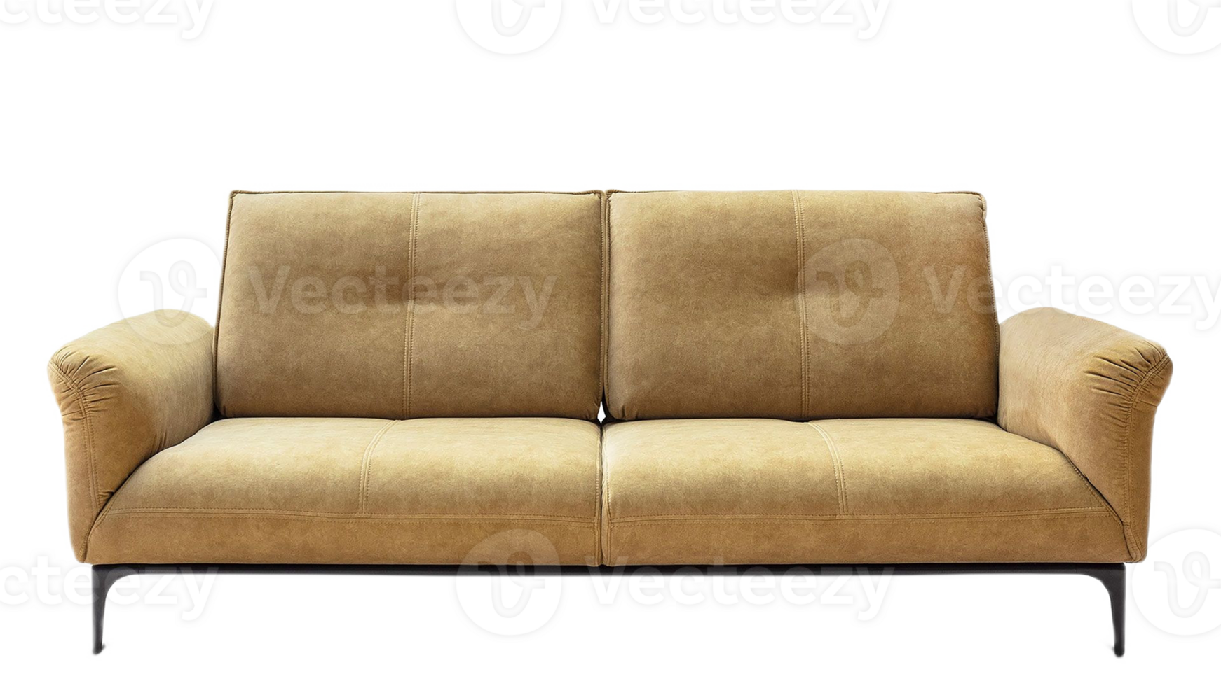 couch sofa front view png