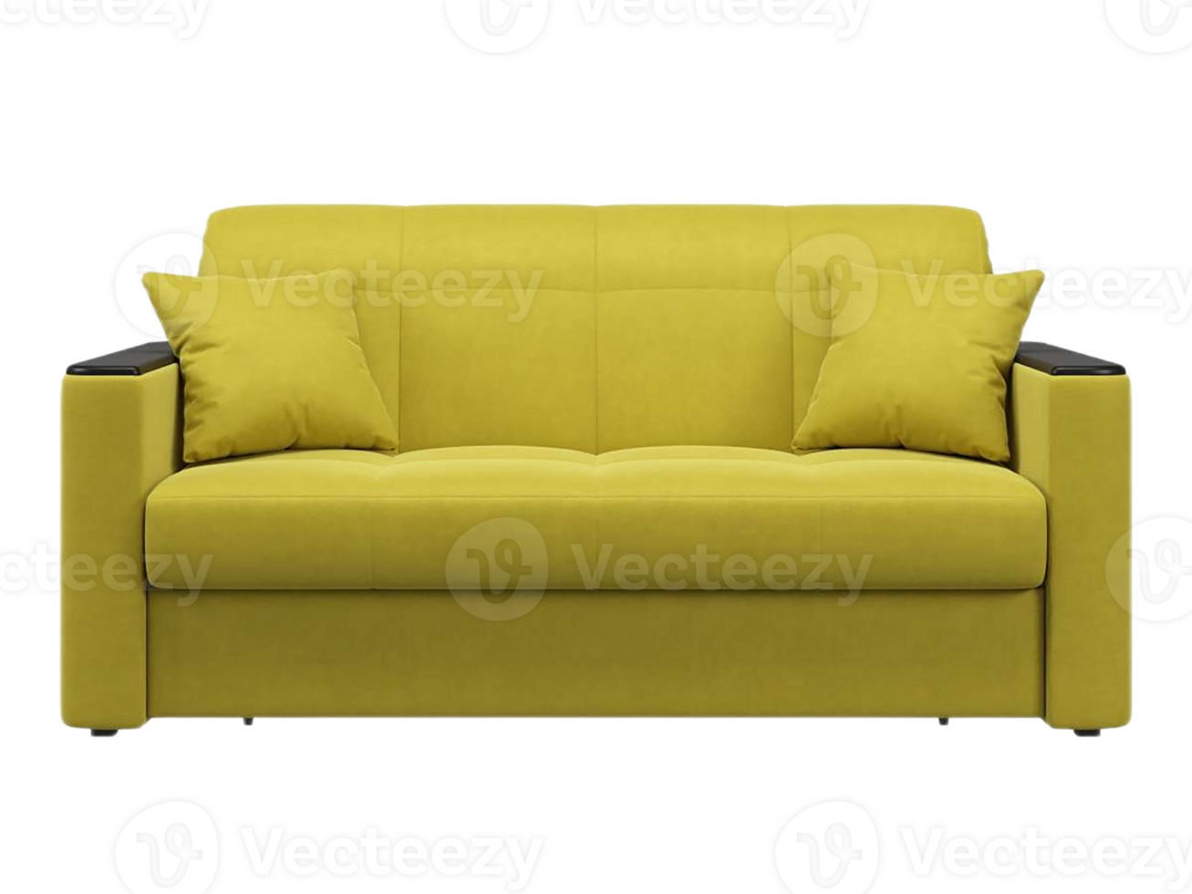 couch sofa front view png