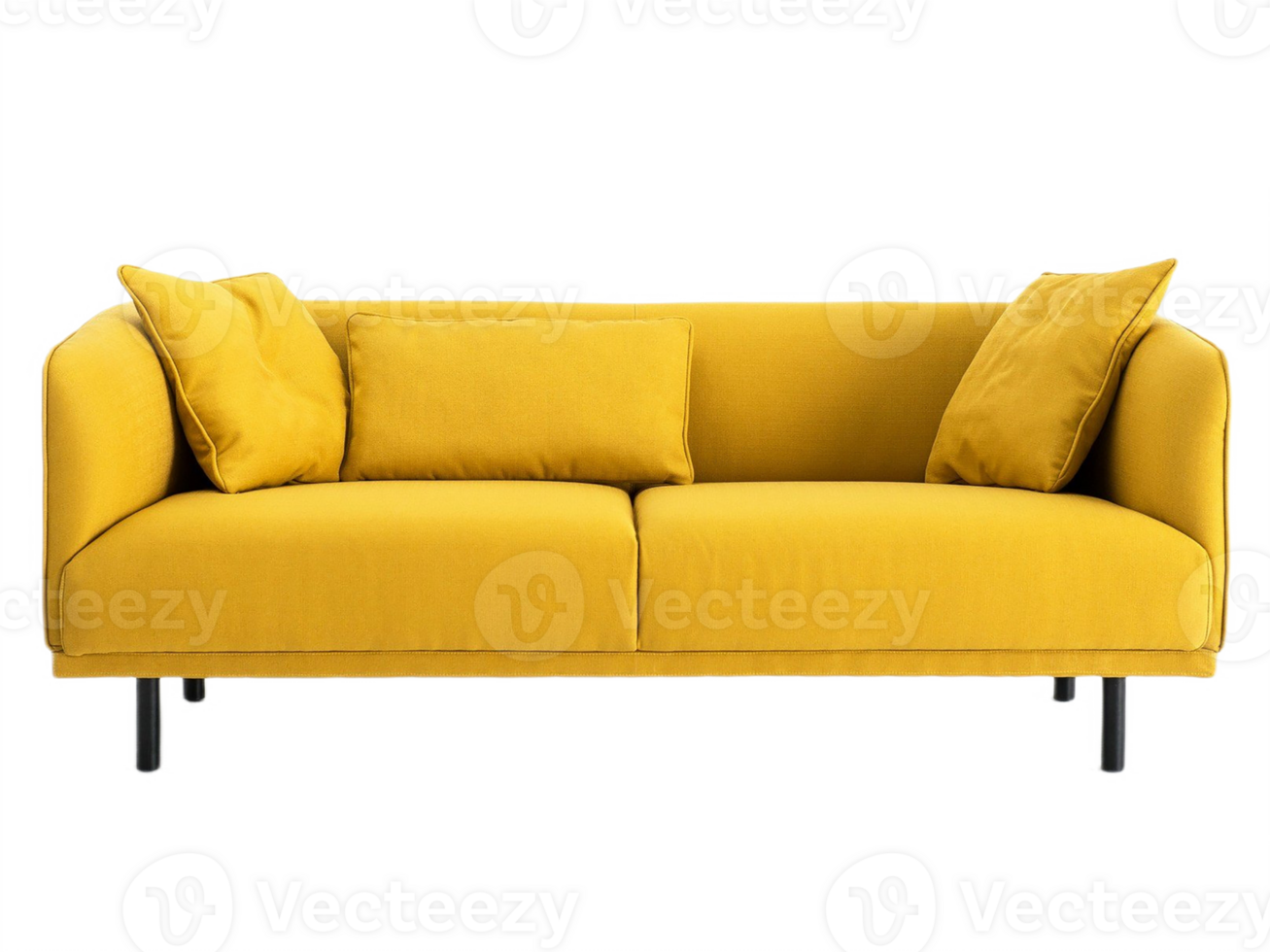couch sofa front view png