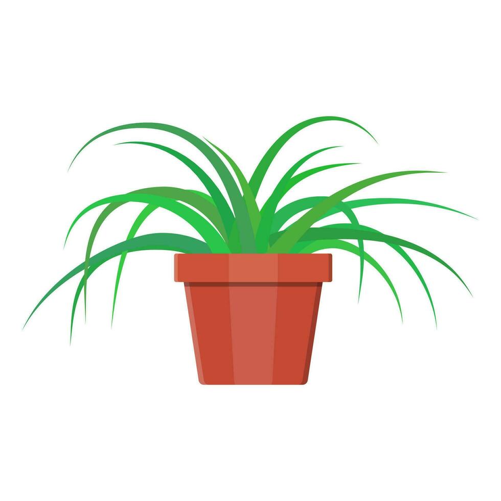 césped planta en flor maceta. decoración hogar planta. vector ilustración en plano estilo