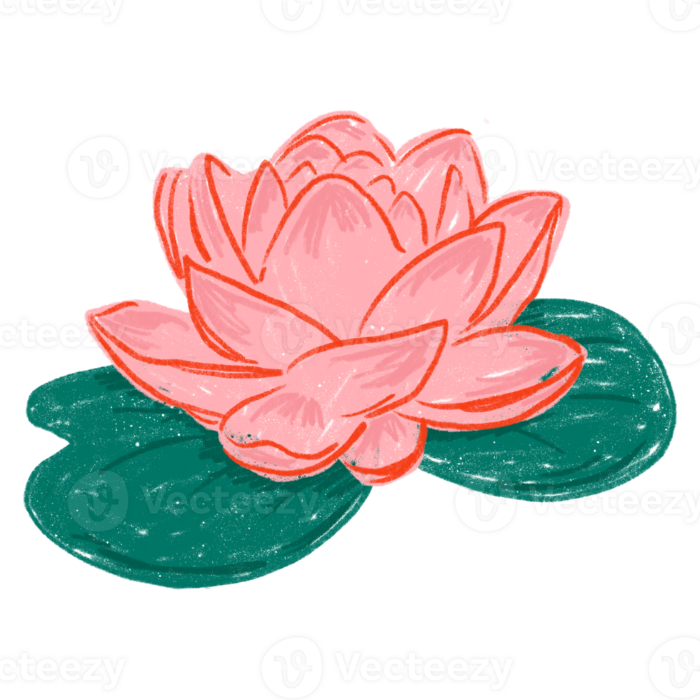 AI generated A Lotus Unfurls in Morning Light png