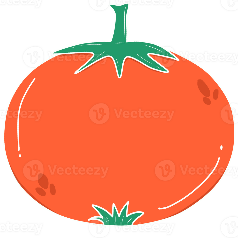 illustration of tomato png
