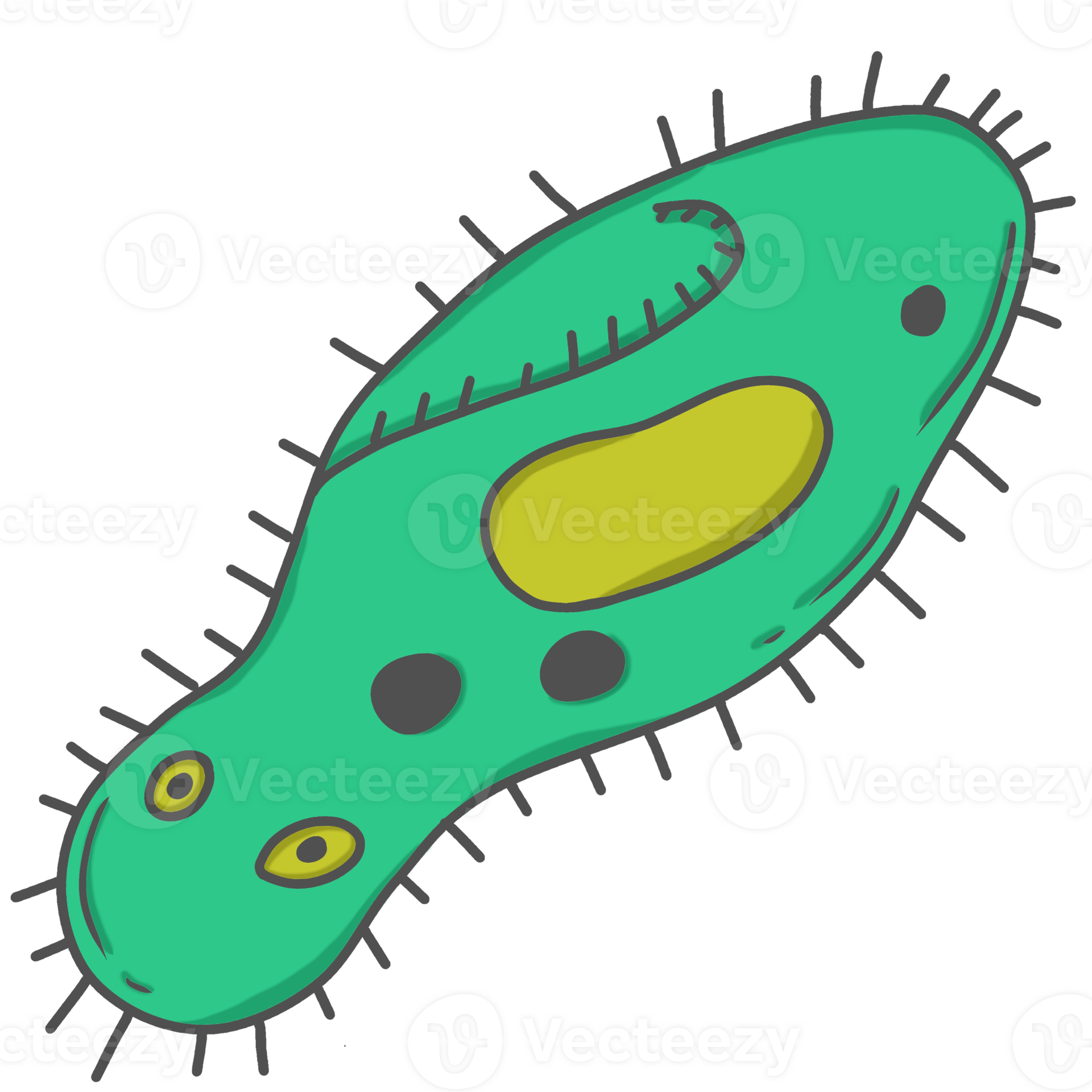 Is Paramecium Autotrophic Or Heterotrophic? Solved! - a913k6m