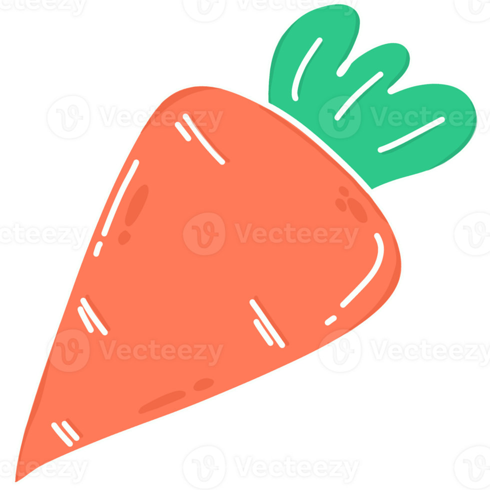 illustration of carrot png